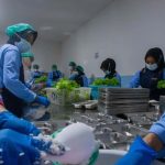 195 Dapur MBG di NTB Berhenti Beroperasi, Program Makan Bergizi Gratis Sementara Terdampak