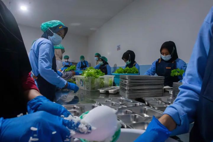 195 Dapur MBG di NTB Berhenti Beroperasi, Program Makan Bergizi Gratis Sementara Terdampak